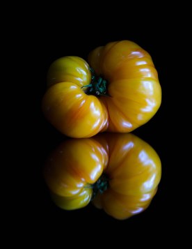Fine-art-food-photography-tomato-yellow-back-backgroud-nikon-photographer-chiaroscuro-dramatic-natural-light